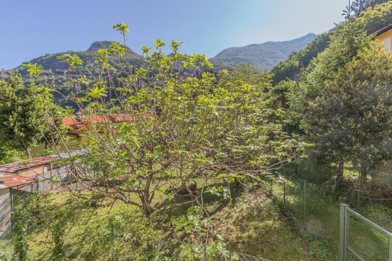 Casa Bobbie Daire Varenna Dış mekan fotoğraf